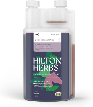 Hilton Herbs Milk Thistle Plus Gold Liver & Kidney Support Horse Supplement Liquid 1.05pnt, Natural Equine Herbal