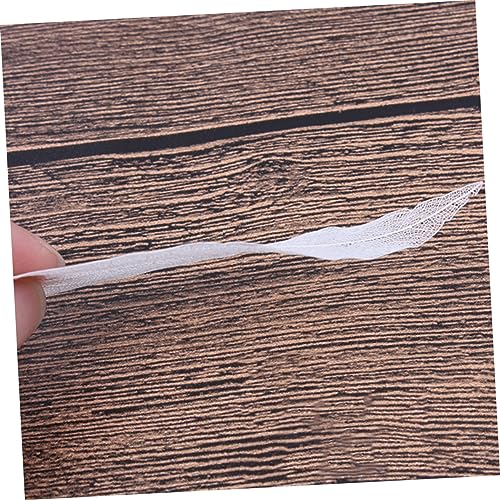 Hojas Naturales Esqueleto para Manualidades 6 piezas miniatura 2