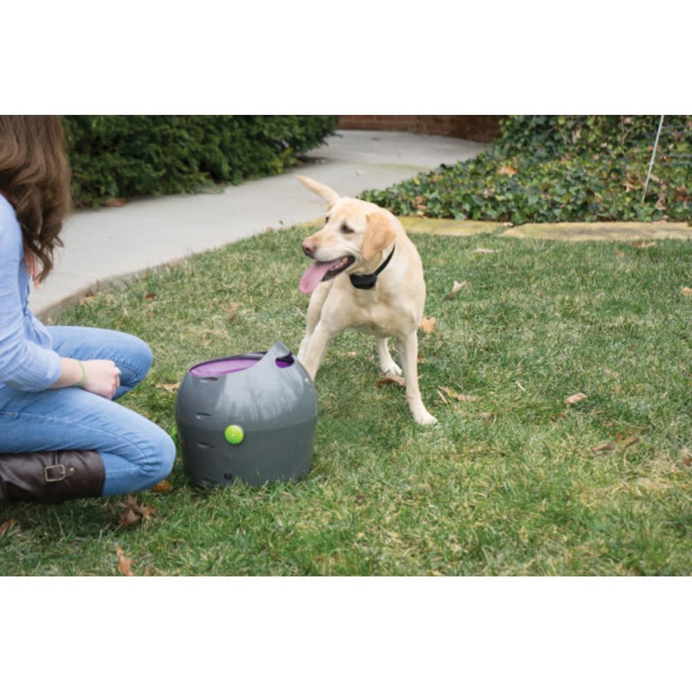 PetSafe Lancia Palline Automatico | Gioco Interattivo di Riporto, Distanza Regolabile, Palline da Tennis Incluse