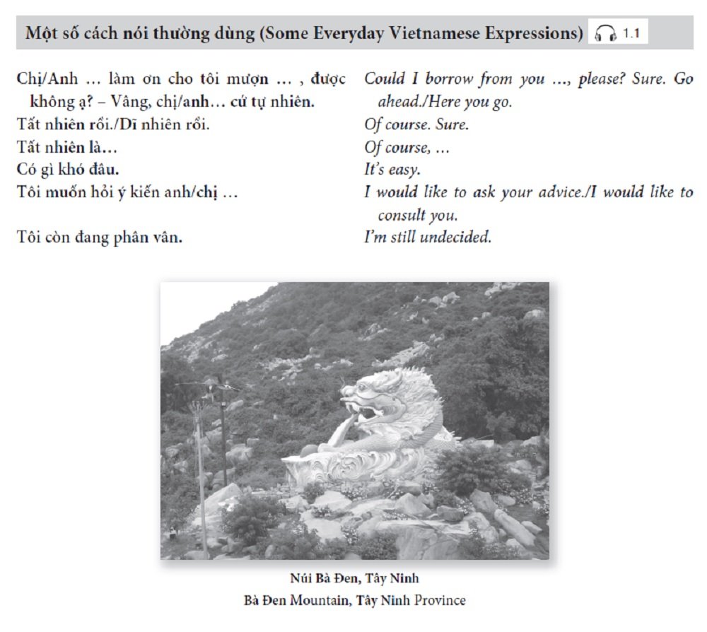 Continuing Vietnamese: Let's Speak Vietnamese (Audio Recordings Included) (Tuttle Specials)