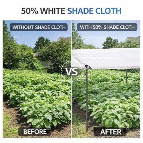 Bâche d'ombrage blanche 50% avec œillets 5,5x11,9m pour serre - 6