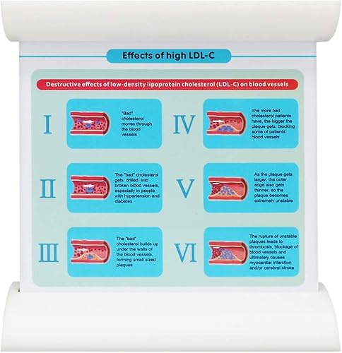 Miniatura 2 de Baja densidad Lipoproteína LDL Blood Vessel Modelo para Médico Paciente Docente Docente