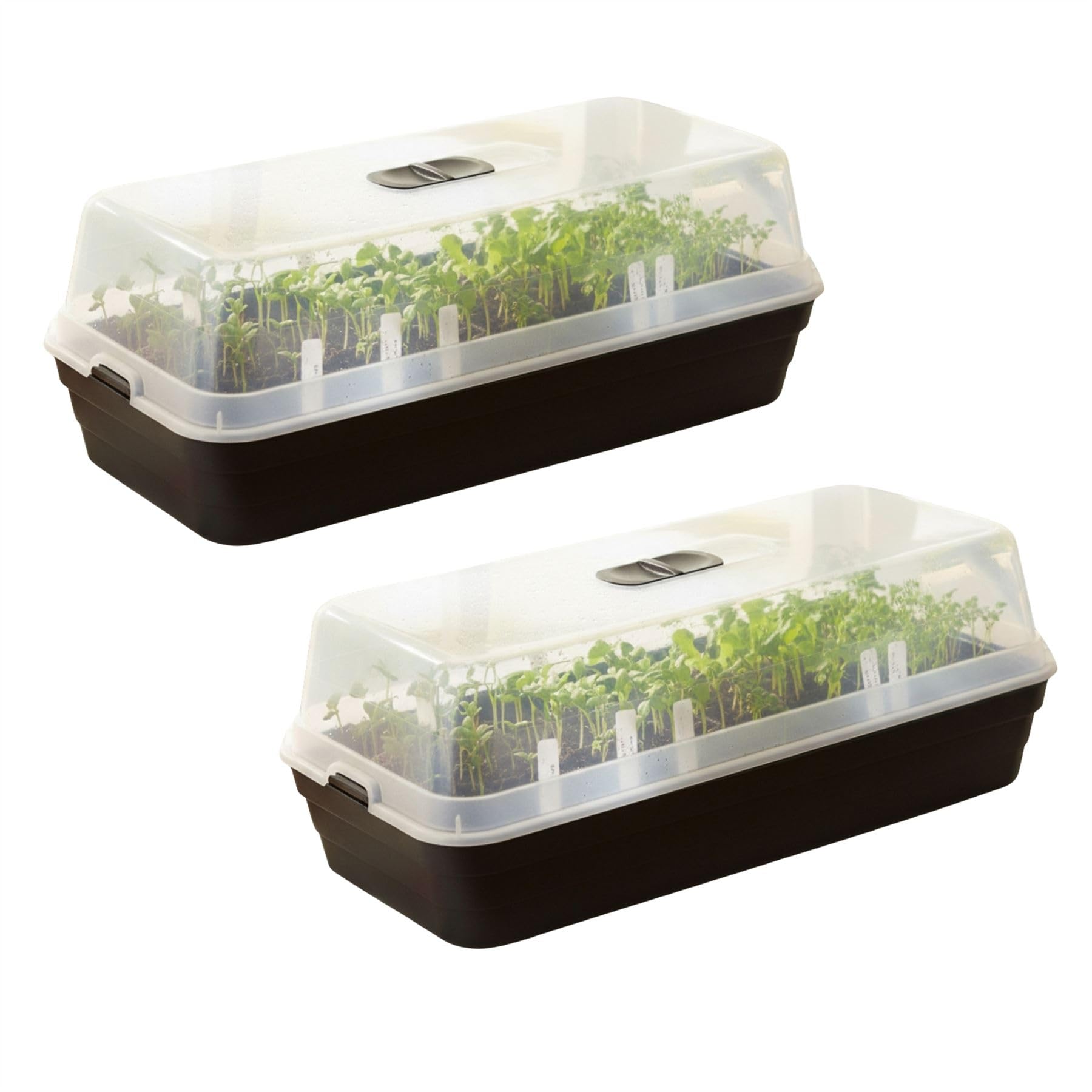 Carousel Home Black Set Of 2 Seed Tray Propagators With Transparent Lid, 50X22cm Seed Starter Trays With Lid Mini Greenhouses For Seedlings, Herbs And Vegetables