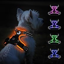Taglory Light Up Dog Harness, Rechargeable No Pull Dog Vest with 3 Lightning Modes, Reflective Dog Harness with 2 Leash Clips & 4 Adjustable Slide Strips for Small Dogs, Orange-Orange, S