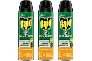 House & Garden Insect Killer Spray: Your Home's Guardian Against Household Pests
