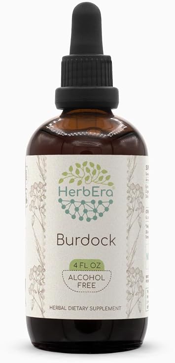 HerbEra Burdock B120 Alcohol-Free Herbal Extract Tincture, Burdock Arctium Lappa Dried Root 4 fl oz