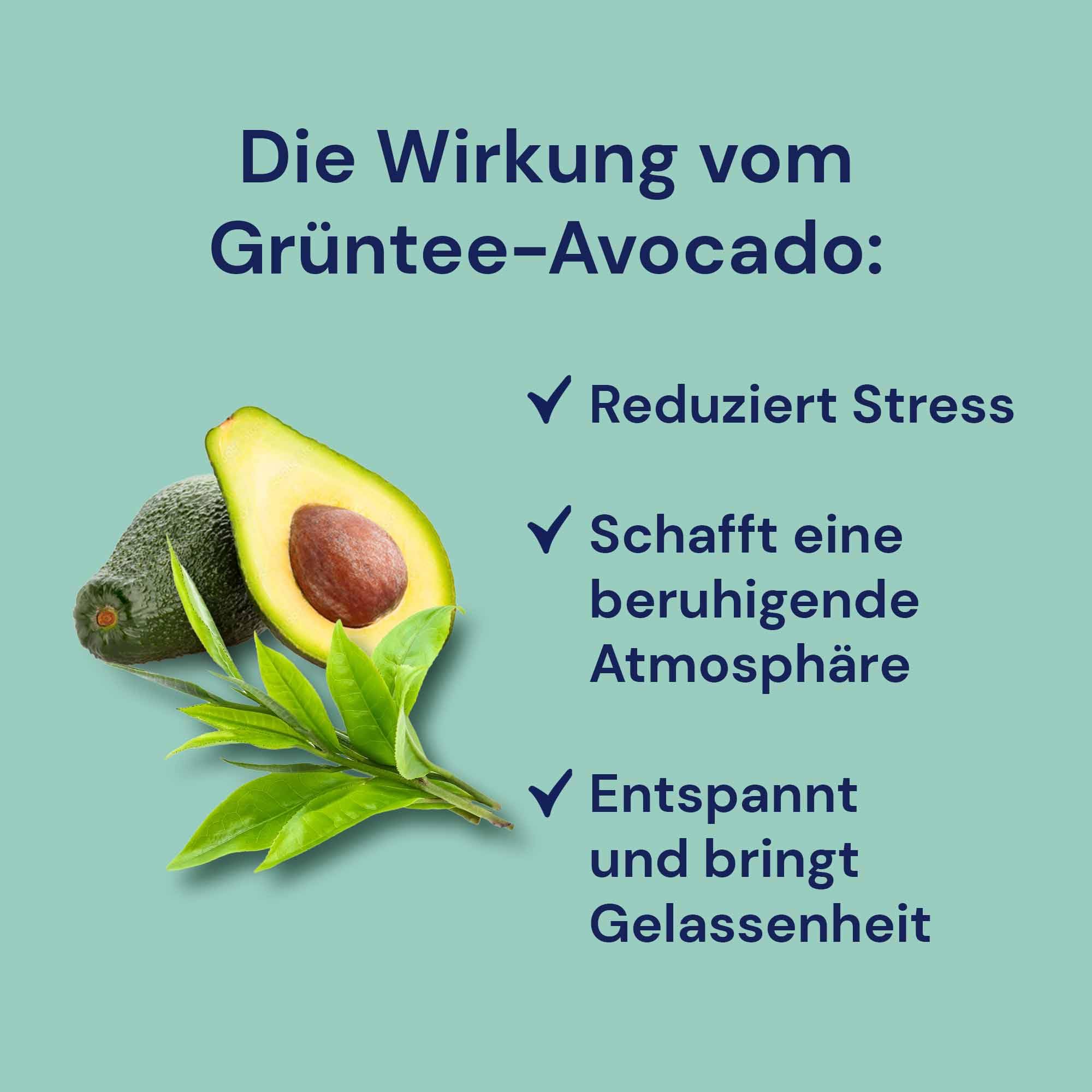 Spitzner Saunaaufguss - Grüntee-Avocado 1L