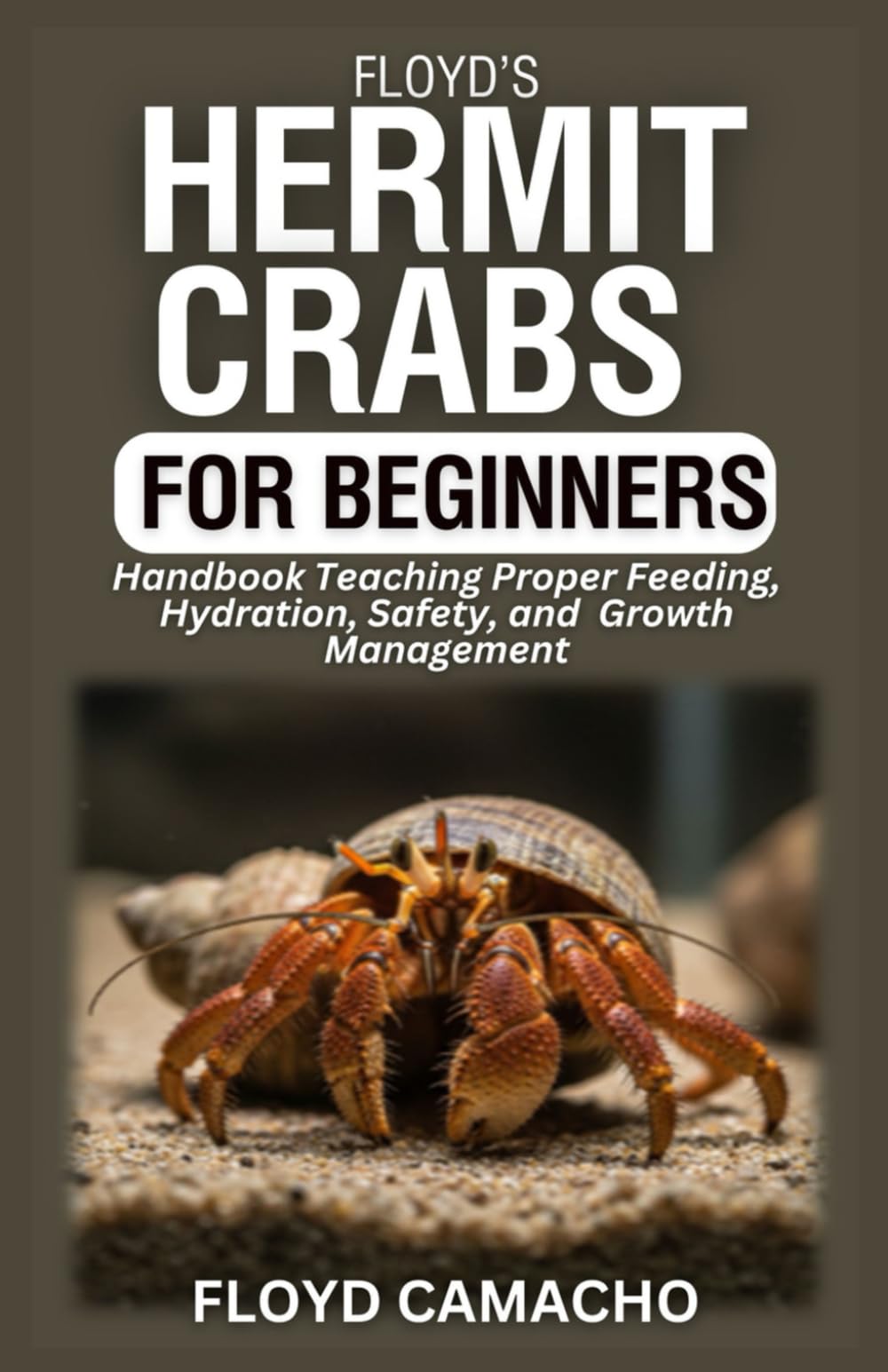 Floyd’s Hermit Crabs for Beginners: Handbook Teaching Proper Feeding, Hydration, Safety, and Growth Management