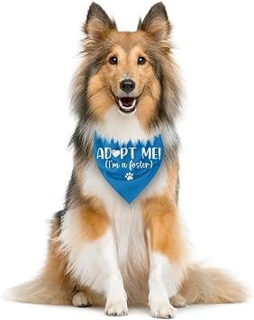Adopt Me I'm a Foster Dog Bandana, Adopted Puppy Bandana Baby Dog Announcement Tie on Scarf, Blue Dogs Bandanas, Pet Scarf Accessories for Small Medium Dogs Cats Photo Prop