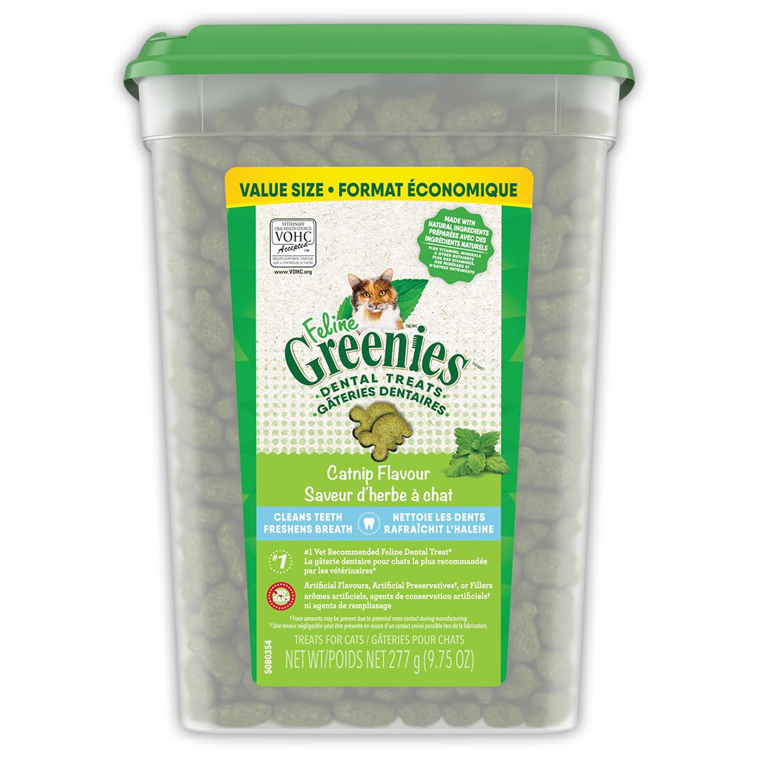 GREENIES Feline Cat Treats Natural Dental Care, Catnip Flavour, 9.75oz. Tub image 1