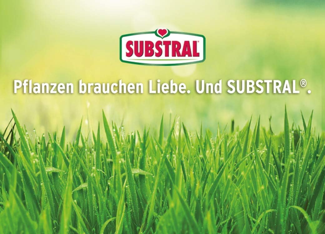 Substral Rasensamen Der Schattige Schattenrasen Premium Rasensamen für schattige Stellen 1kg für 50 m²