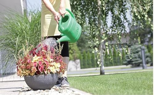 B2C Lightweight Plastic Watering Can Garden Plants Indoor Outdoor Rose Head Sprinkler 3 5 8 10 14 Litre (3 Litres) 6 B2C Lightweight Plastic Watering Can Garden Plants Indoor Outdoor Rose Head Sprinkler 3 5 8 10 14 Litre (3 Litres) - Image 6