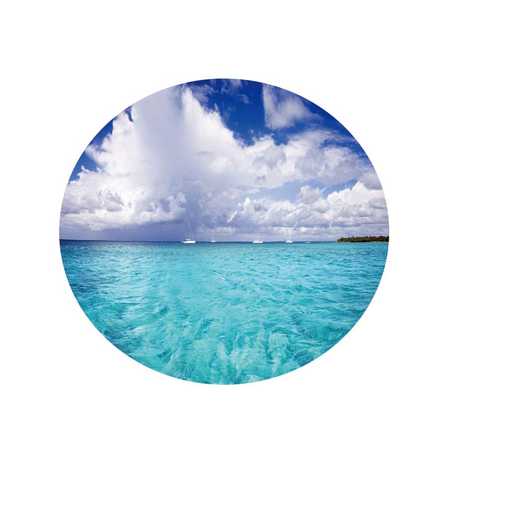 FANSU Nappe Ronde Impermeable, 3D Plage Series Nappe En Polyester L'épreuve De L'huile Antifouling Nappe De Table Pour Extérieur Ou Intérieur Table De Salle à Manger (Noix De Coco Verte,150cm