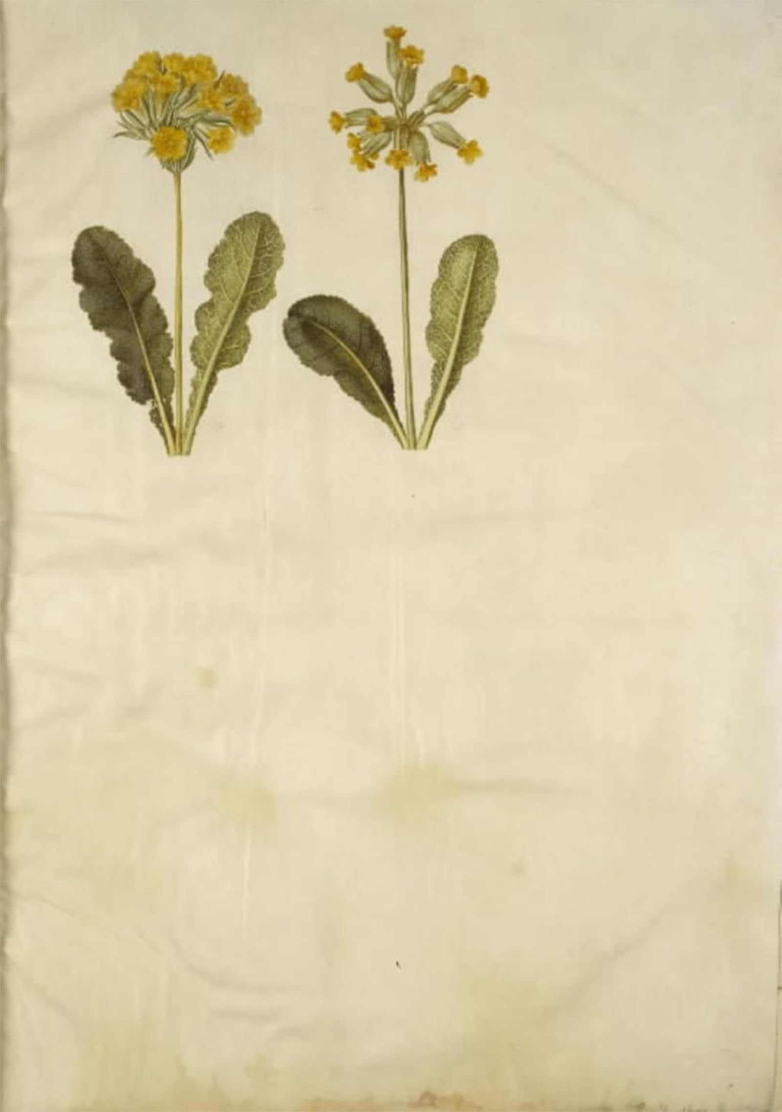 Affiche Impression Prints Toile Tableau Décoration Intérieure Salon Chic - 5
