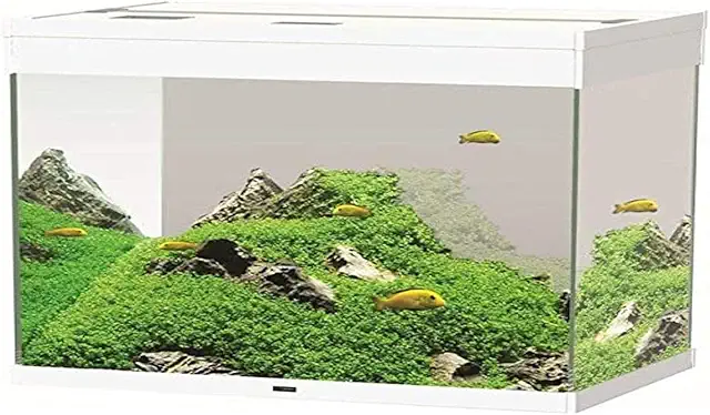 Acuario 200L Askoll Emotion Pro Nature LED 100 Blanco con Filtro Pratiko 200