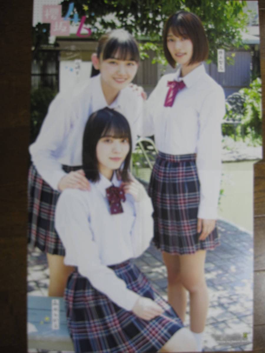 Amazon.co.jp: 両面ポスター a973-2 森田ひかる 井上梨名 山﨑天 櫻坂