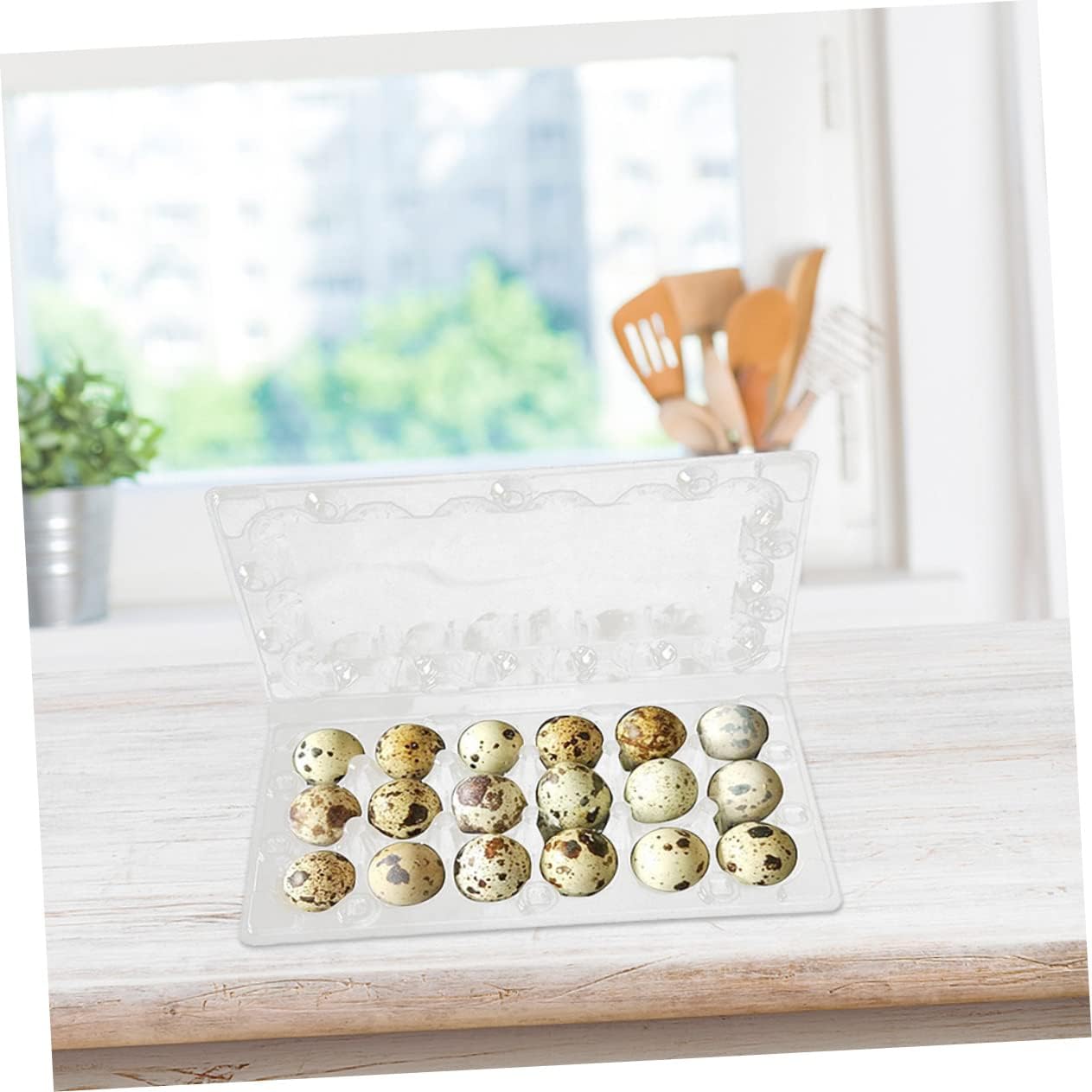 40pcs Egg Box Quail Egg Containers Reusable for Kitchen Camping Picnic
