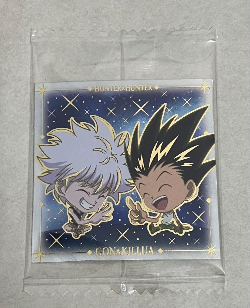 HUNTER X HUNTER キルア、ゴン ディスクインデックス ハンターハンター キルア ゴン インデックス