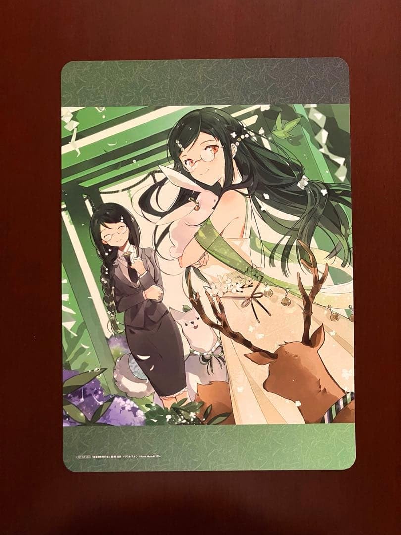 Amazon.co.jp: 春夏秋冬代行者 アニメイト 特典 A4 両面ビジュアル