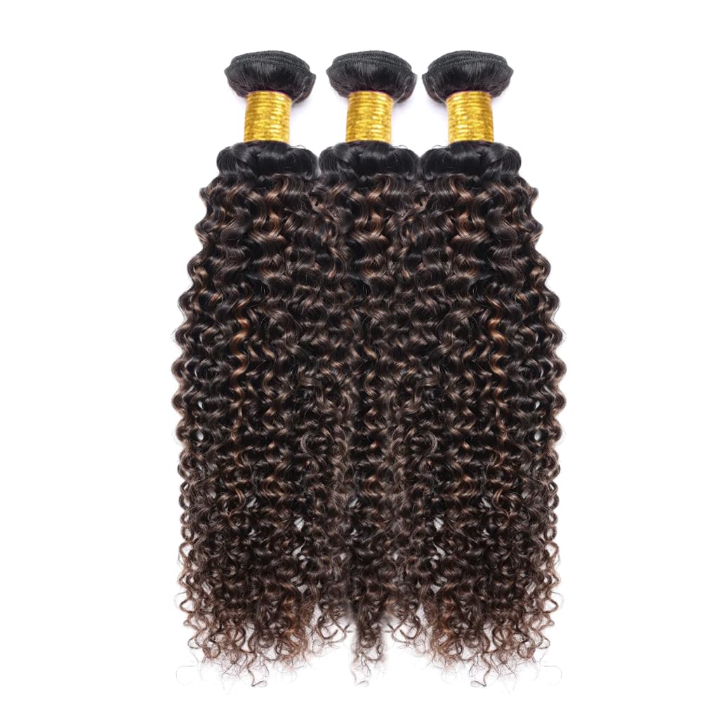 22 24 26 Inch Highlight Bundles P1B30 Curly Wave Human Hair Bundle 1B30 Ombre Wet And Wavy Bundle Two Tone Black Mixed With Light Brown Bundles 300G