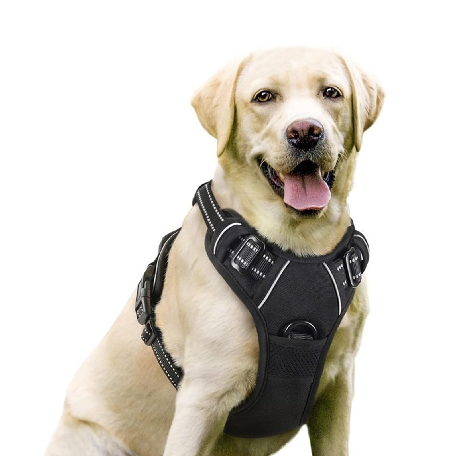 Imbracatura per cani regolabile traspirante con strisce riflettenti, guinzaglio incluso, comodo, taglia L