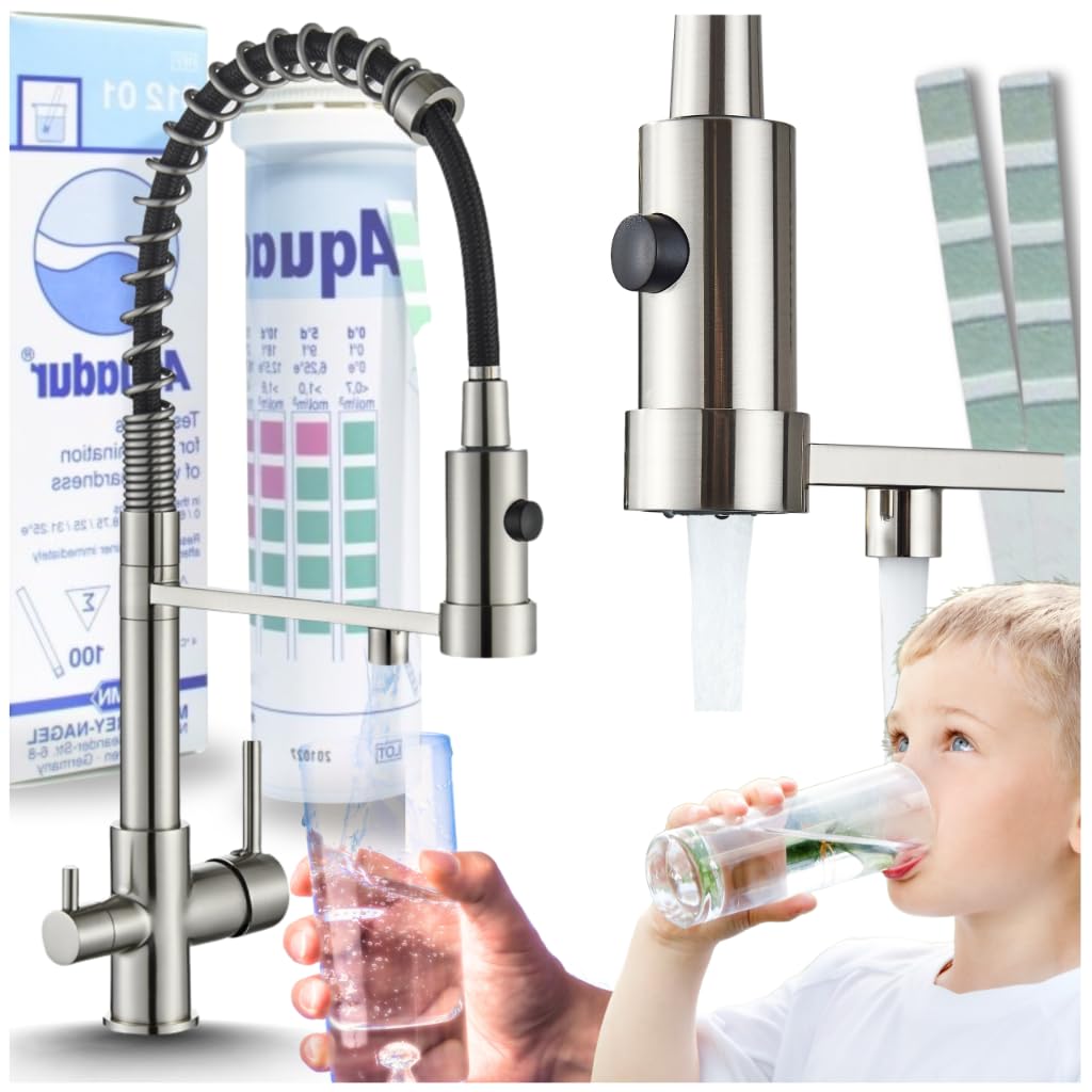 Rubinetto da cucina a 3 vie SOLID SPRING con doccetta estraibile, cavo separato per filtro dell'acqua, beccuccio girevole a 360°, rubinetto a molla in ottone, montaggio monoforo (acciaio inossidabile)