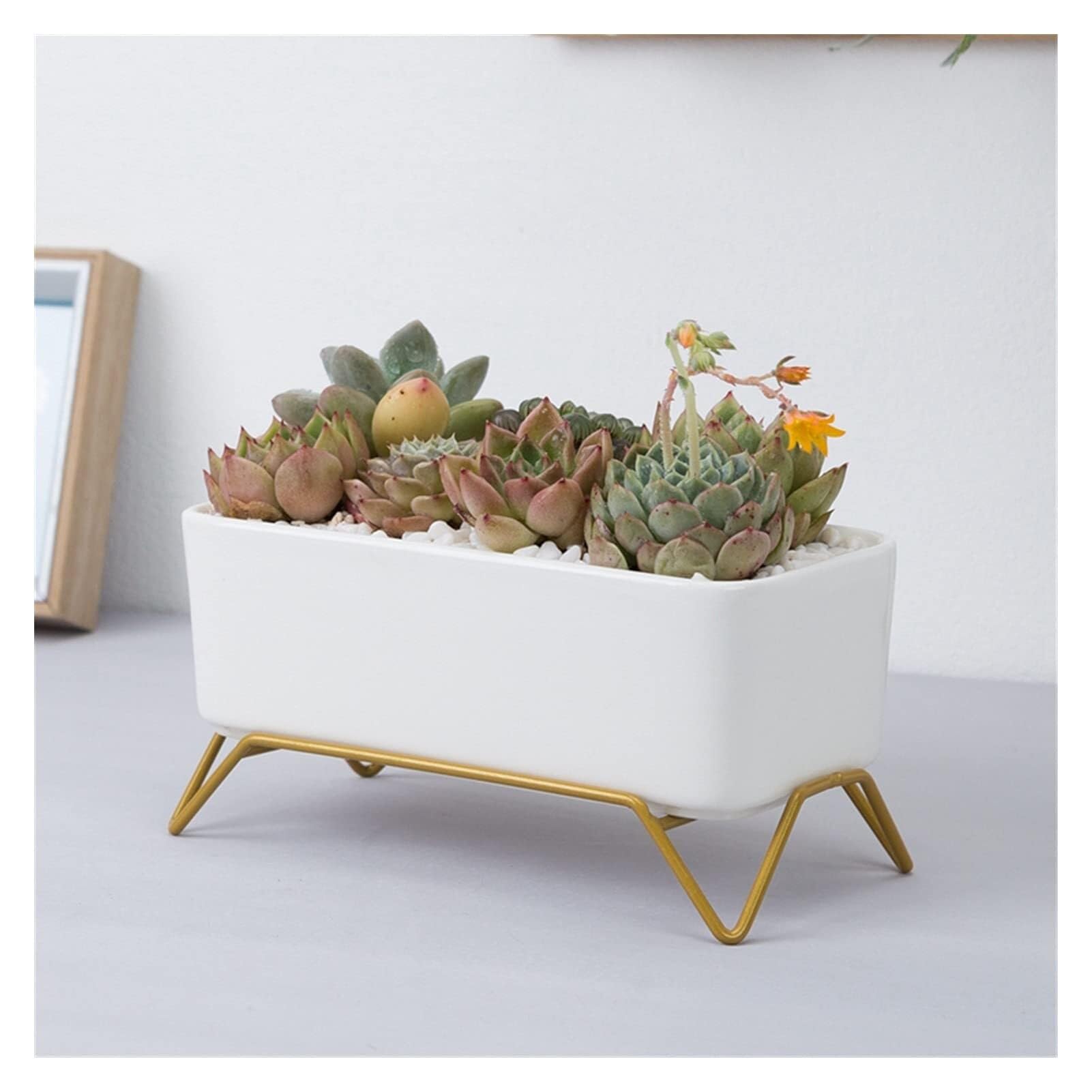 Biała ceramiczna doniczka ze złotym metalowym stojakiem owalna doniczka na sukulenty kaktus z otworem drenażowym 17 x 8,5 x 5,5 cm na biurko wystrój domu i małe rośliny domowe