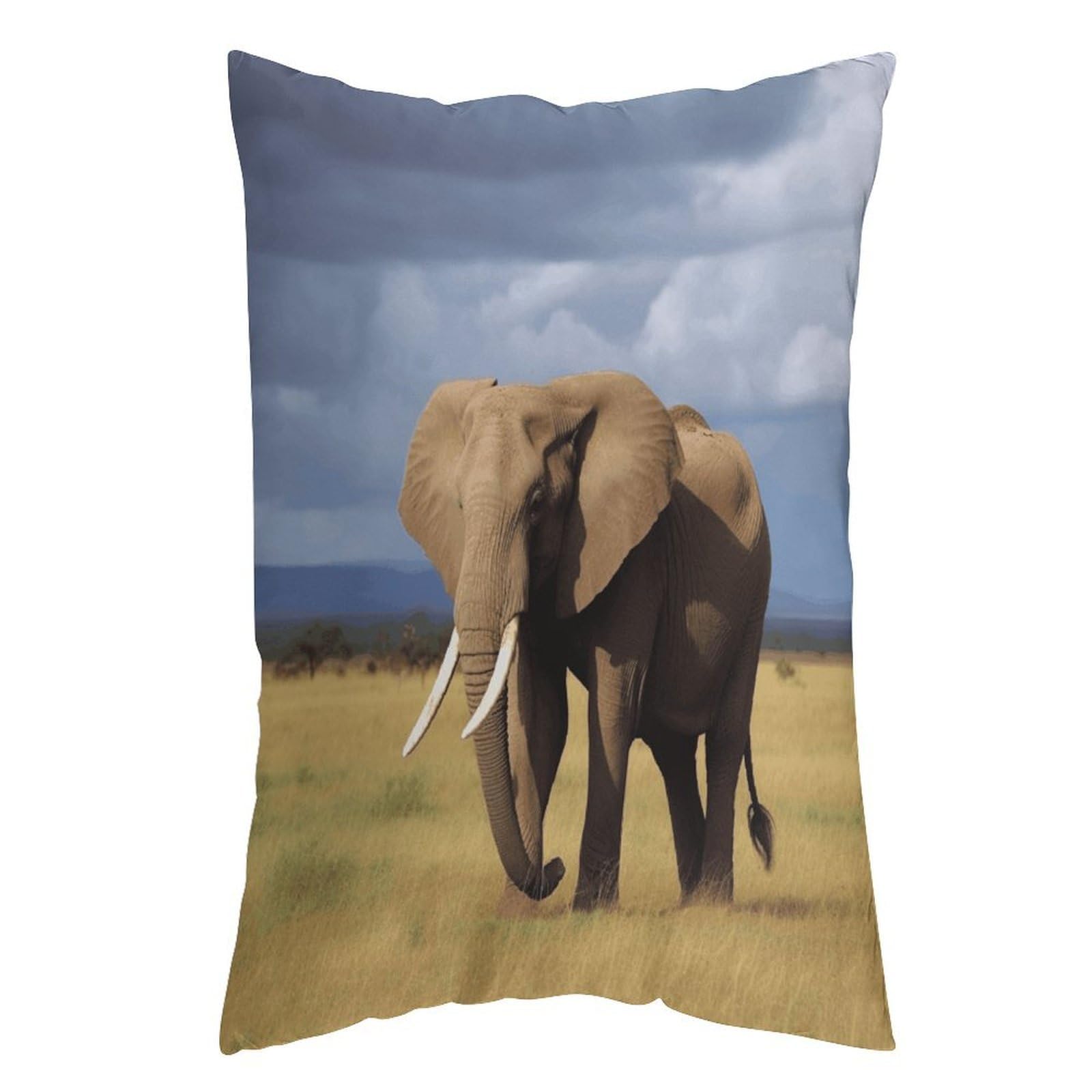 FekiLoot Africa Grassland Elephant Throw Pillow Cover Soft Pillowcase with Hidden Zipper Lumbar Decorative Throw Pillow Covers Luxury Cozy Pillows Shams Rectangle Cushion Cases