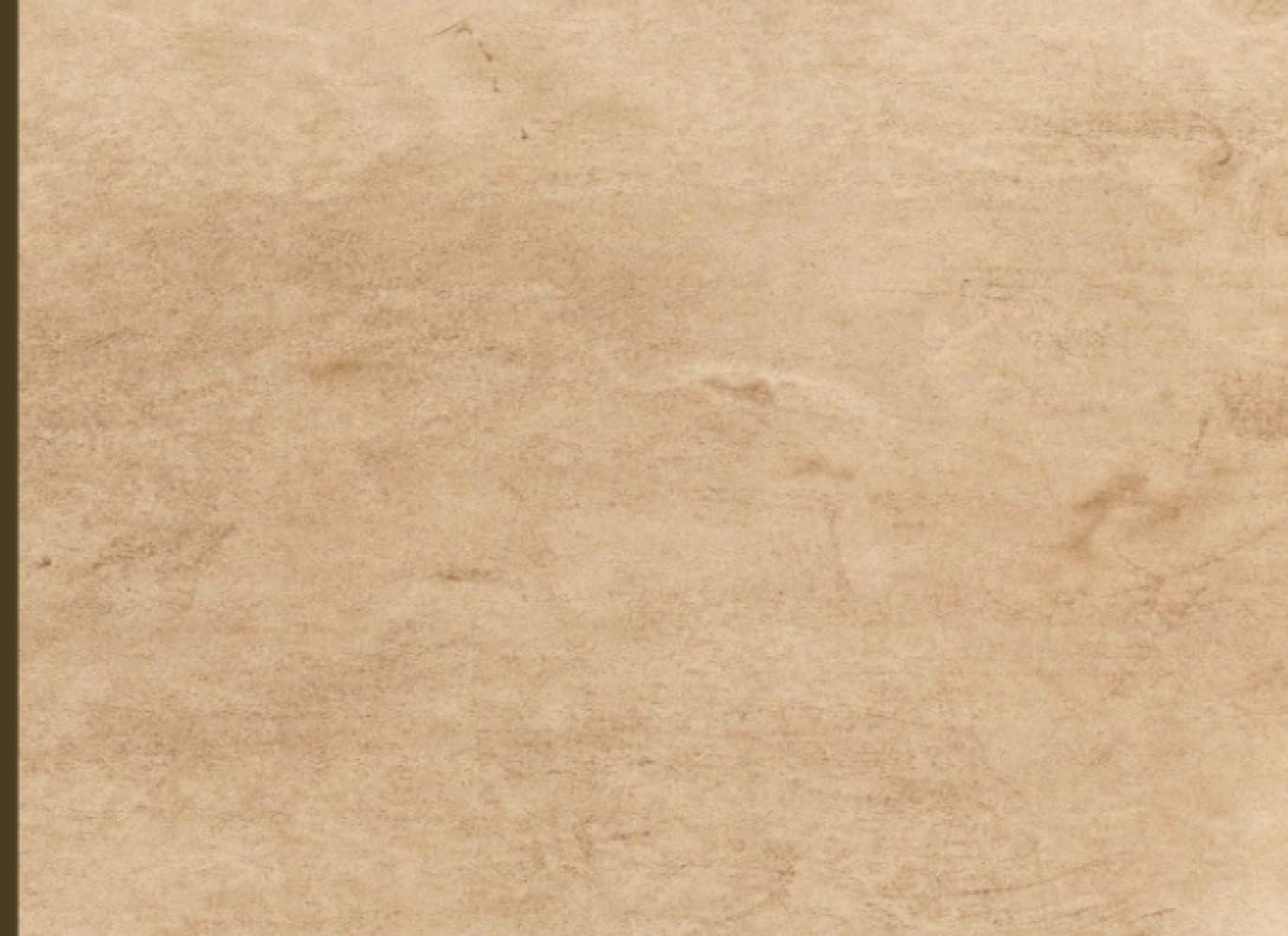 Dot Grid Paper-Style Journal Notebook: Dot Grid Subject Notebook, Plain, 100 Pages