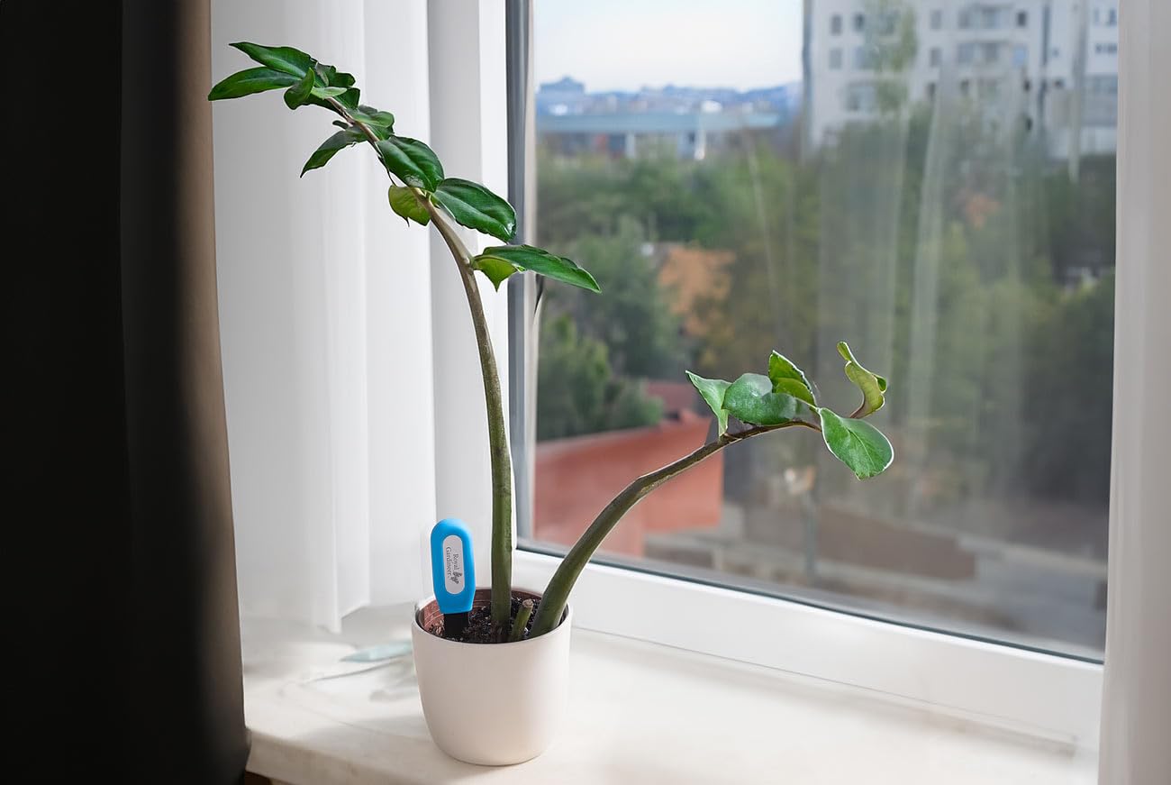 Royal Gardineer Pflanzenboden-Tester: 4er-Set smarte Pflanzen-Bodenfeuchtigkeits- & Temperatursensoren, App (Pflanzen-Feuchte-Messgeräte, Sensor, Home)
