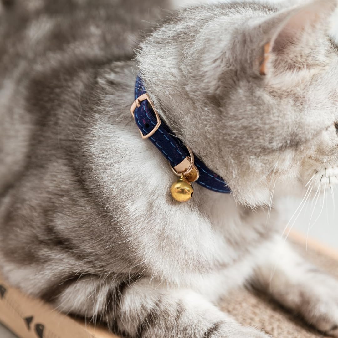 Katzenhalsband, Samt mit goldenen Messingelementen, Quantenenergie & Heilfrequenzen, blau, für Katzen