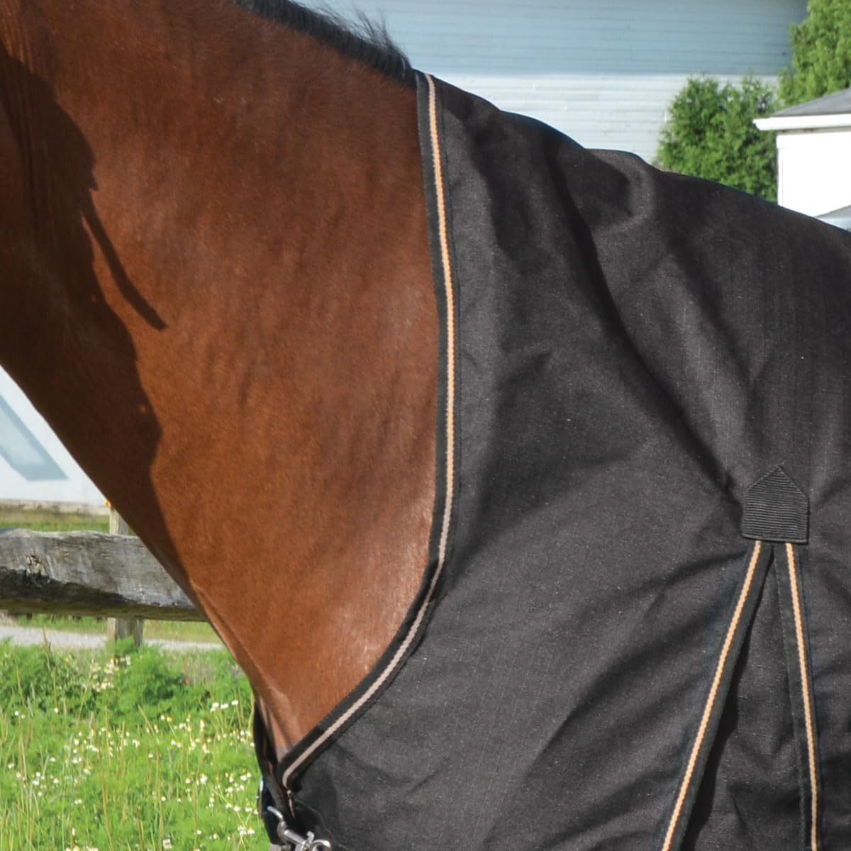 Country Pride Paladin High Neck Turnout Sheet, Waterproof Breathable Horse Blanket, 1200D Cordura Durable Shell, Extended Neck and Shoulder Gussets, Adjustable Double Buckle Front (74)