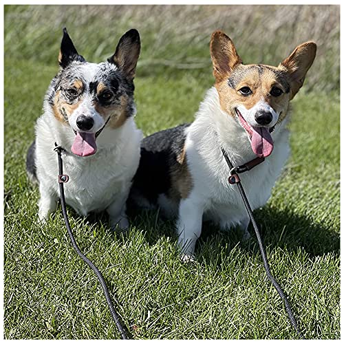 Btinesful HU-XI-145 Slip Lead Dog Leash, Strong Nylon Rope thumb #5