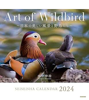 週間　野鳥の世界　120巻セット 618ivW9vXML._UF350,350_QL50_.jpg