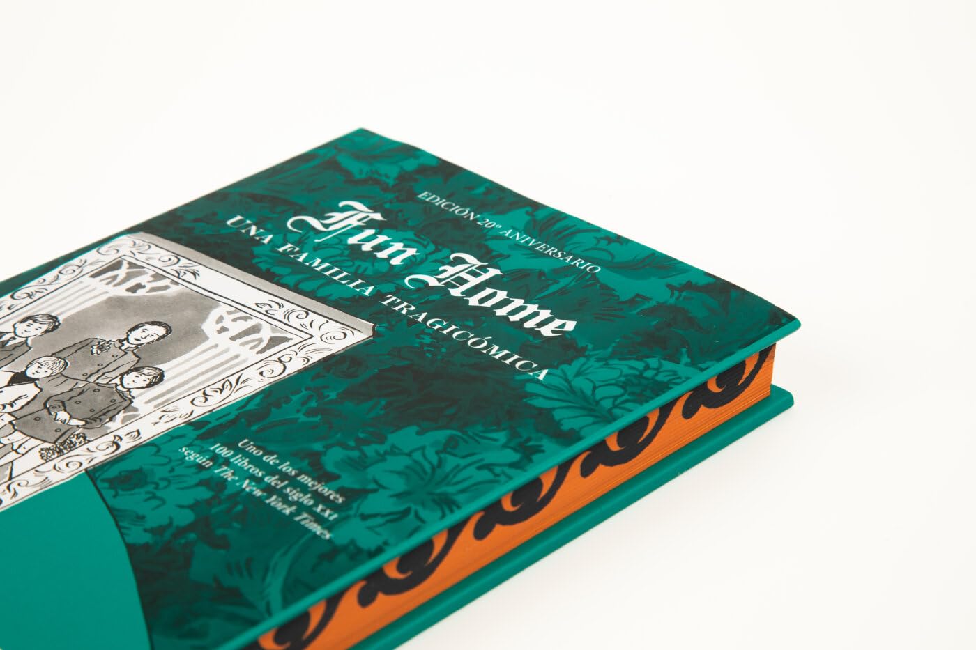 Fun home (edición coleccionista): Una familia tragicómica (Reservoir Gráfica)