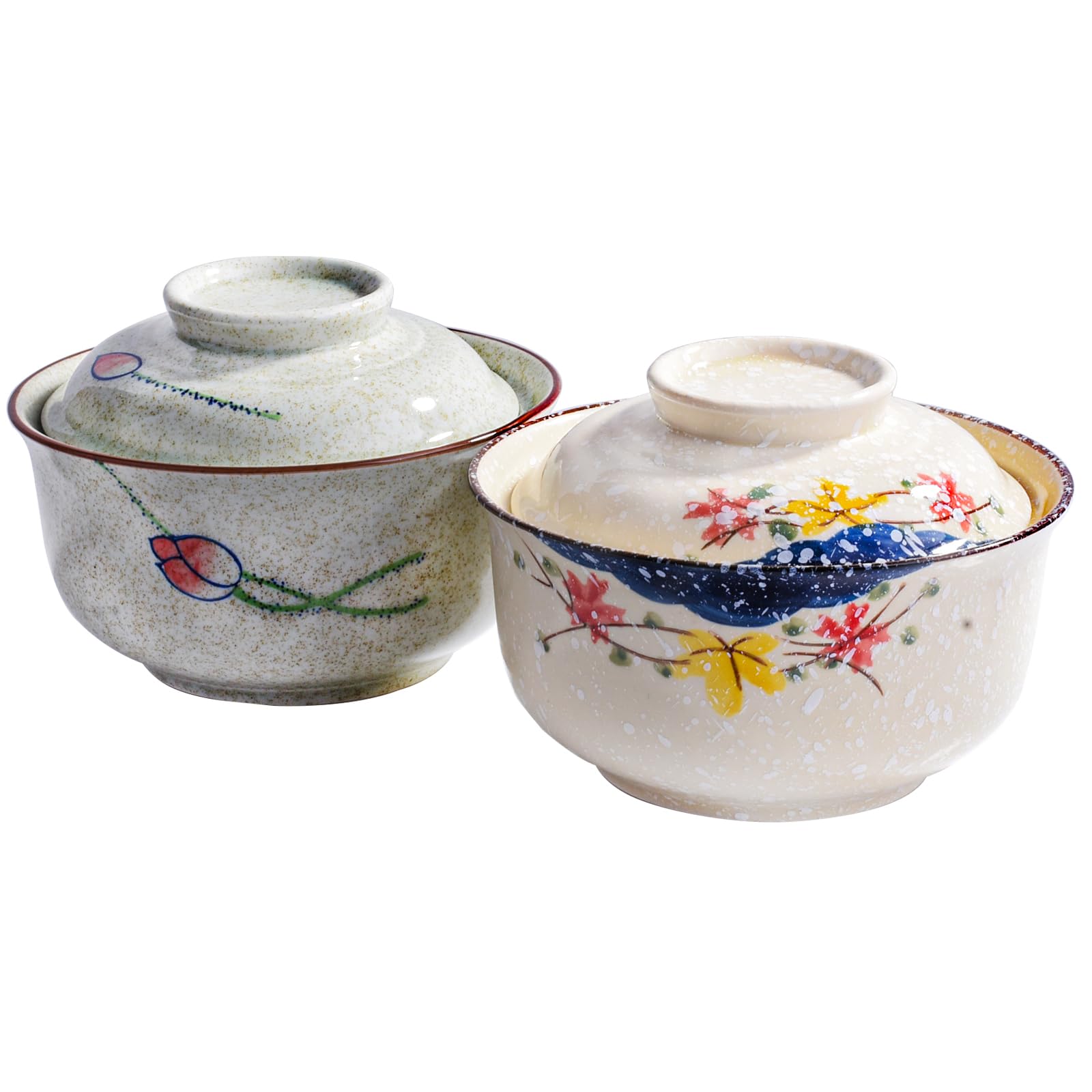 2-Piece Japanese Ceramic Ramen Bowl Set with Lids
