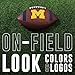 Franklin Sports Michigan Wolverines Kids NCAA Youth Football - Official College Team Junior Footballs with Team Logos for Kids - Junior Size PVC Ball - Backyard + Tailgate Ball - 8.5