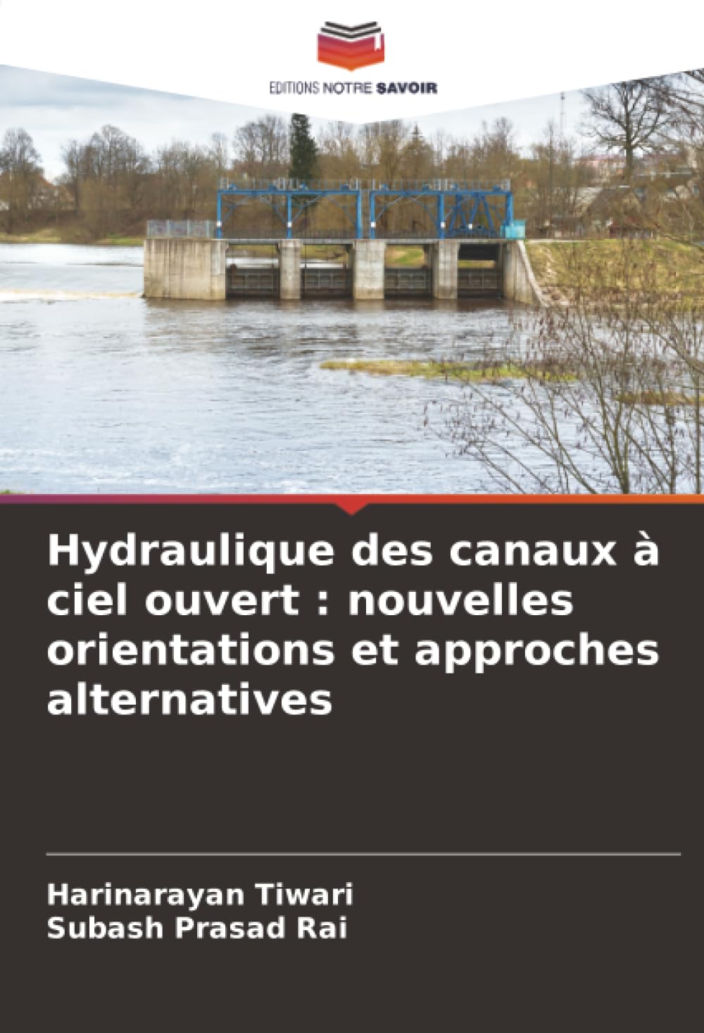 Hydraulique des canaux à ciel ouvert : nouvelles orientations et approches alternatives
