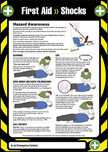 Póster, 1st Aid Shocks, laminado, señales, protección personal, seguridad del sitio - 55905