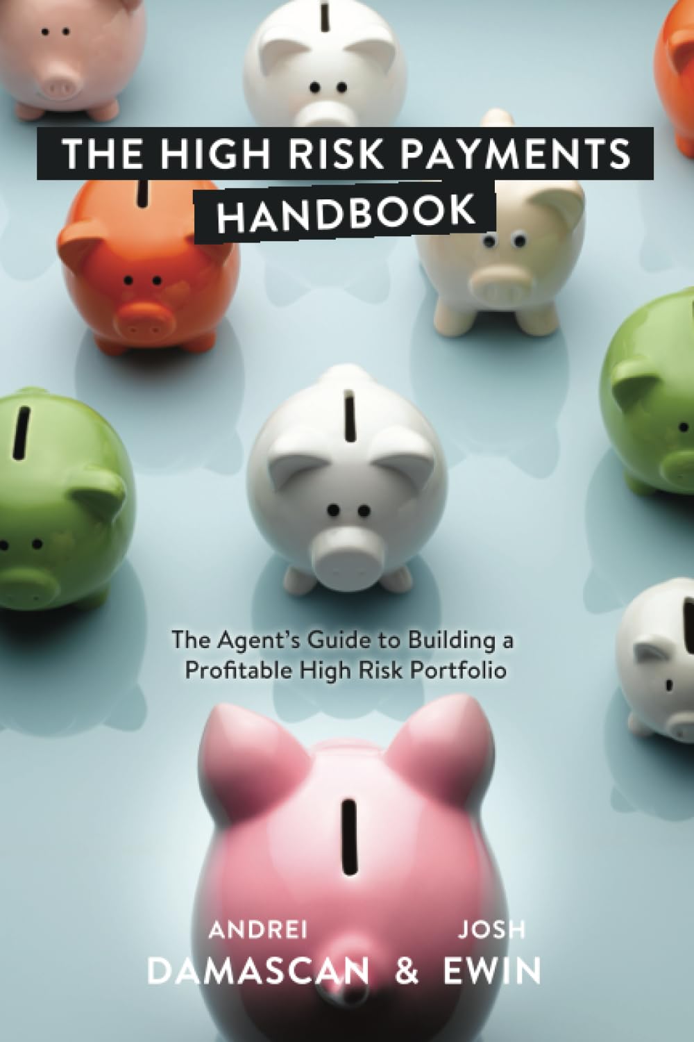 The High Risk Payments Handbook: The Agent's Guide to Building a Profitable High Risk Portfolio