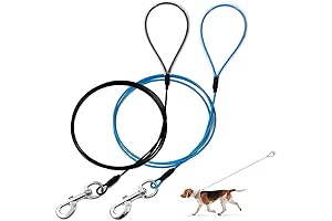 Chew Resistant Dog Leash - A Durable Protector for Your Pup