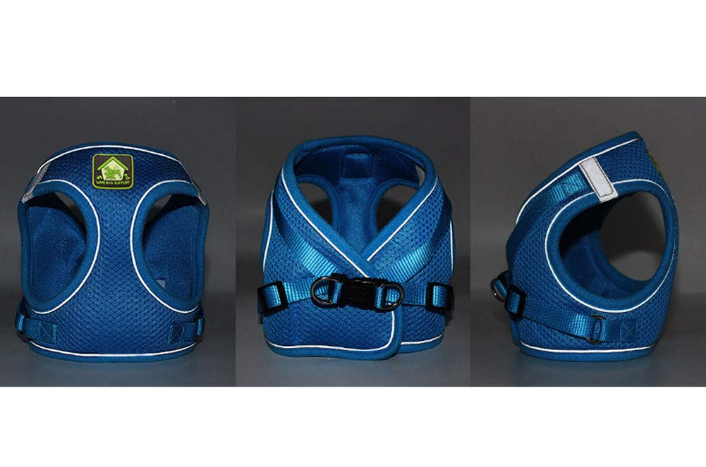 Bleu Harnais Chat Harnais pour Chat Laisse Reglable Harnais Securite Chat avec Laisse Gilet Réfléchissant Réglable Harnais Ultra-léger pour Chat Petit aux Chiots Chat XS