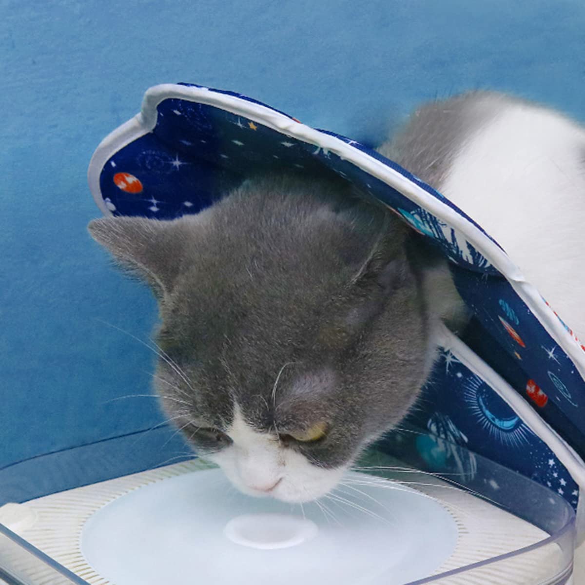 Avaner Cat Recovery Collar, Cat Cone Collar for After Surgery Pet Protective Collar Adjustable or Small Medium Large Cats, blue,A57-06 - Image 3