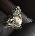 Review Image by Maureen Maureen