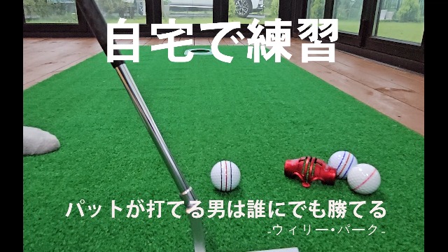 Amazon | BIRDIE79 プレミアム品質 360度+180度 バーディー