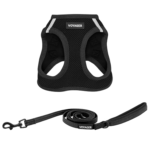 Best Pet Supplies - Arnés Voyager Step-in Air con Correa, arnés de Malla Tipo Chaleco para Colocar…