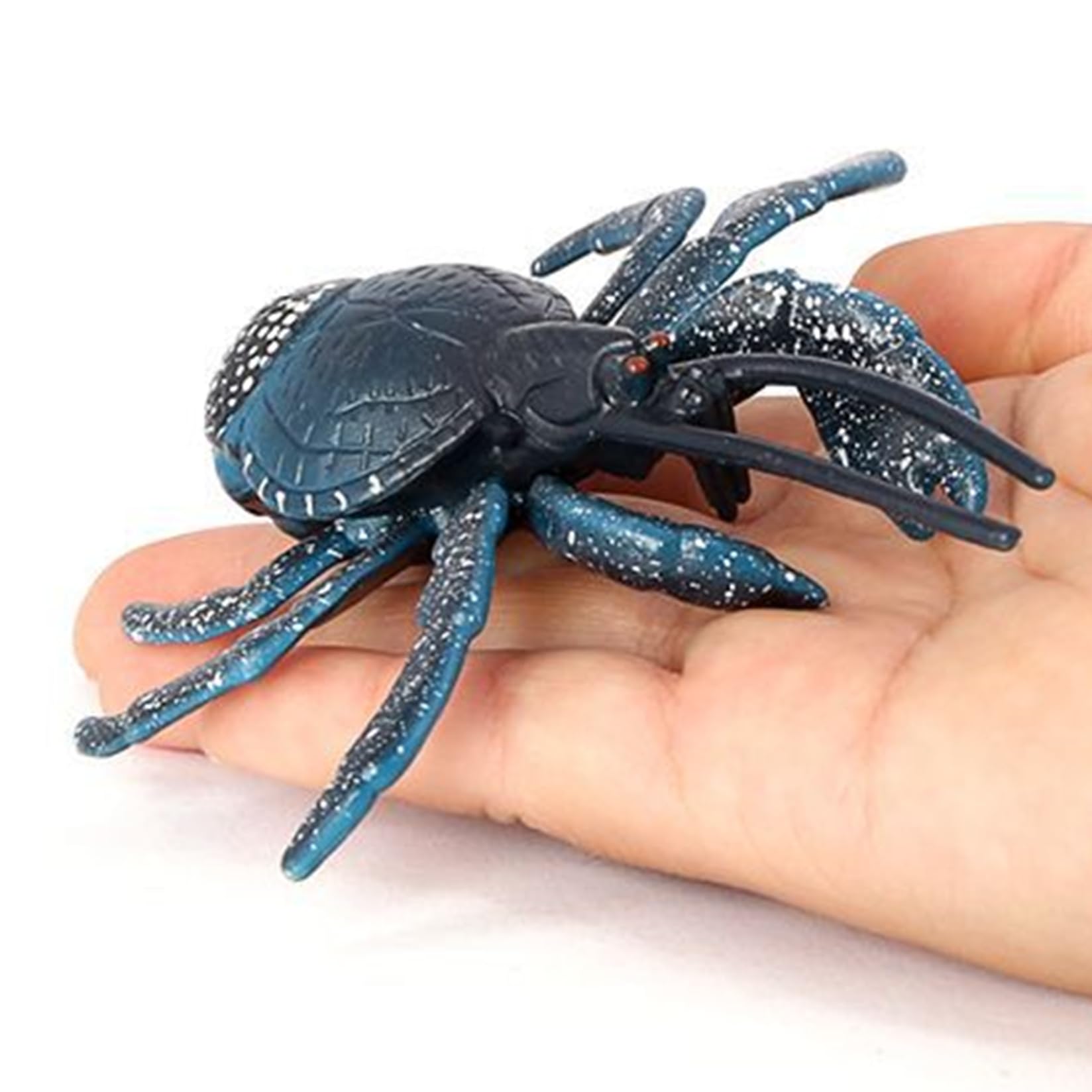 Crab Toy, Realistic Coconut Crab Animal Figures Sea Animal Toy 4x0.8 PVC, Educational Learning Toys Birthday Set Animals Toys for Kids Boys Girls
