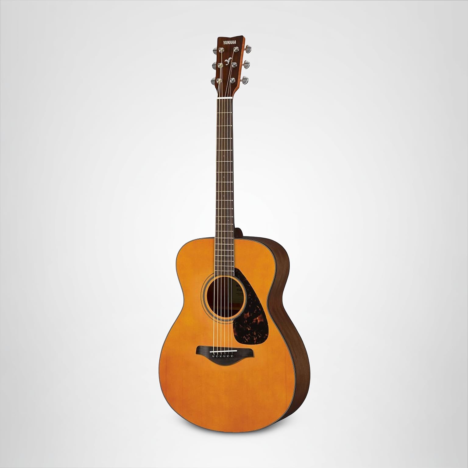 Amazon.co.jp: ヤマハ FS800 T コンサートアコースティック限定版 着色
