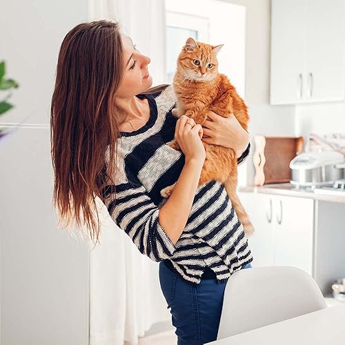 Miniatura 8 de ACANA - Alimento premium para gatos sin cereales en paté de 3 sabores, 6 latas, variedad de muestras - (2) cada uno pollo con salmón, pollo con