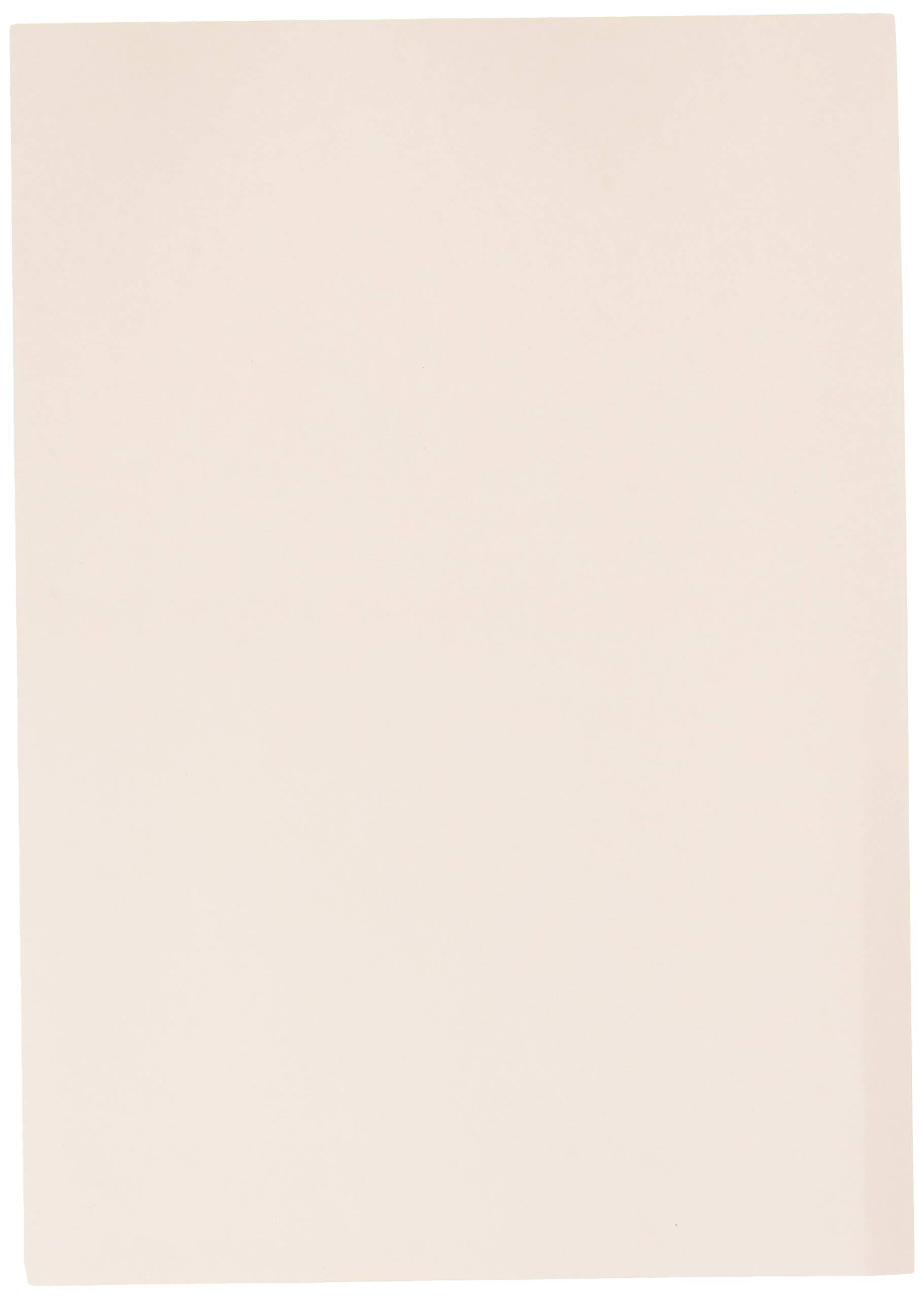 Nagatoya Shoten Na-3269 Colored Paper, A4, Medium, Thick, 500